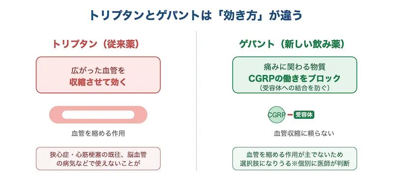 トリプタンとゲパントの作用の違いを比較した図。トリプタンは血管を収縮させ、ゲパントはCGRPの働きをブロックして作用することを示す